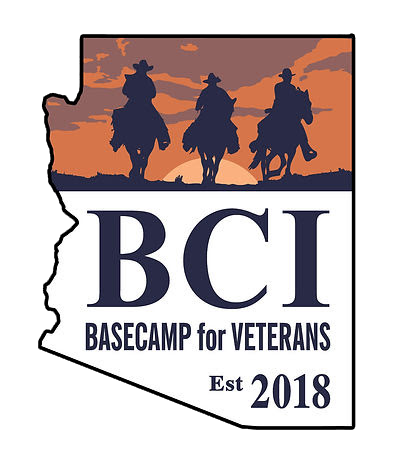 BCI Logo