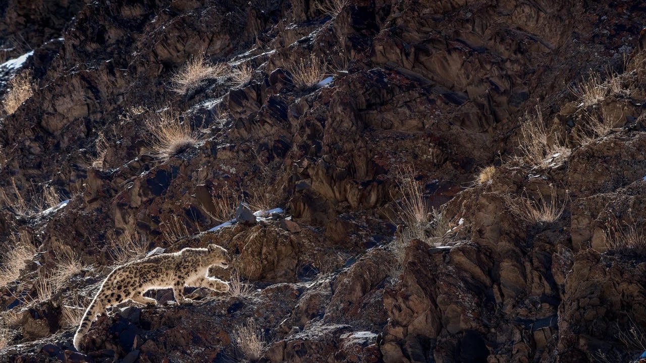 High Asia Habitat Fund