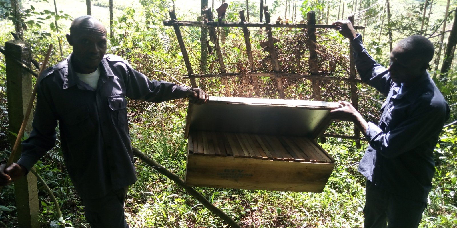 Porters with Hive